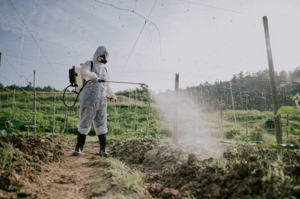 Best Local Pest Control Services  in Pine Mountain, GA