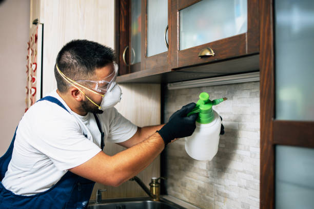 Best Pest Inspection Near Me  in Pine Mountain, GA
