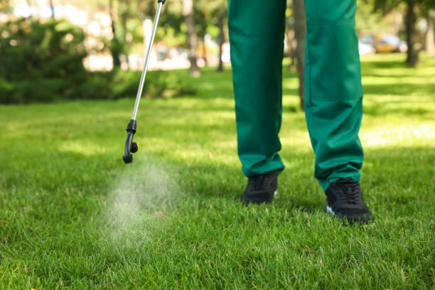 Best Pest Control Near Me  in Pine Mountain, GA