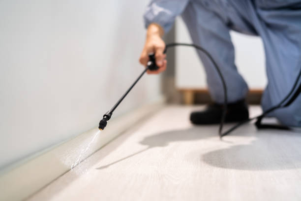 Best Pest Control for Homes  in Pine Mountain, GA