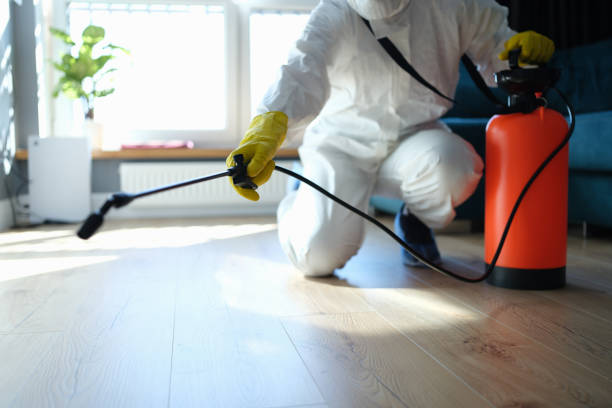 Best Mosquito Control Services  in Pine Mountain, GA