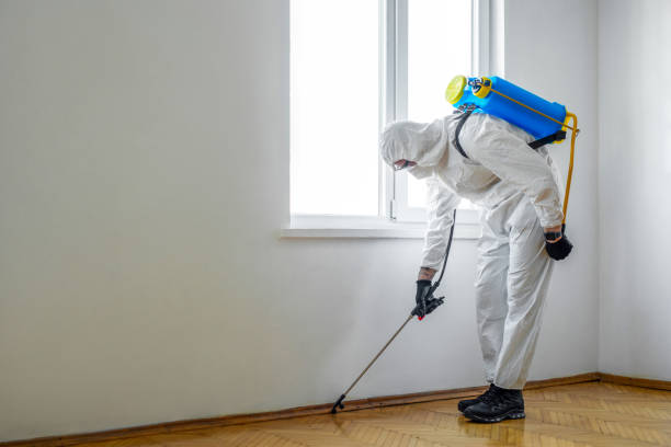 Pest Control Cost in Pine Mountain, GA