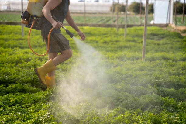 Best Mosquito Control Services  in Pine Mountain, GA