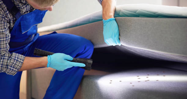 Best Ant Control Services  in Pine Mountain, GA